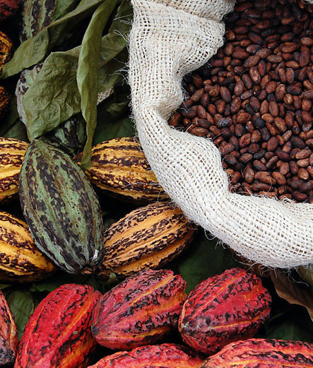 Шоколадный ликбез. Глава 2. Сбор урожая и производство шоколада. | Онлайн кондитерская школа. Кондитерские курсы Краснодар