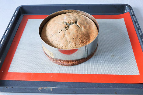 готовим маковый бисквит